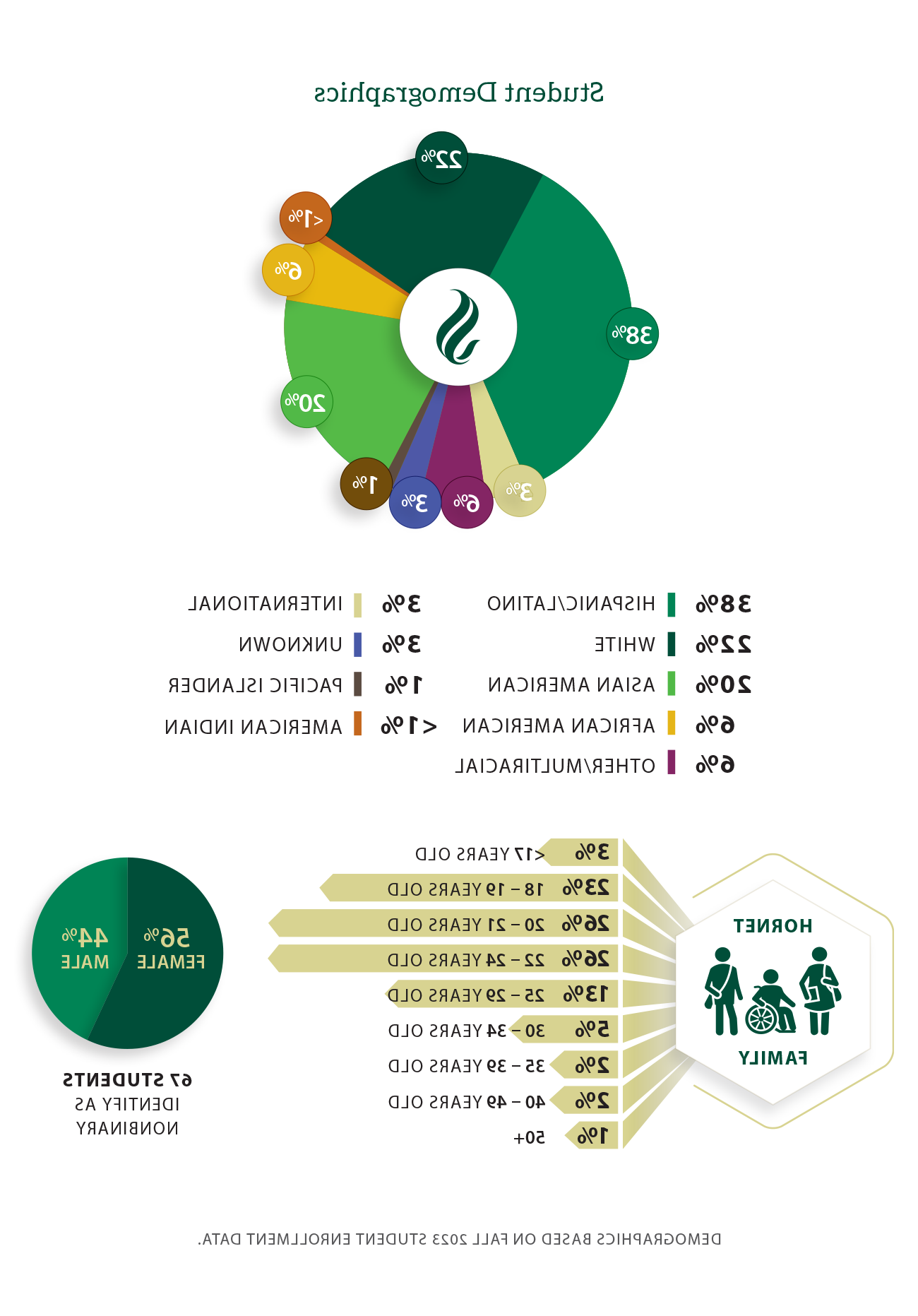 Graph: student demographics